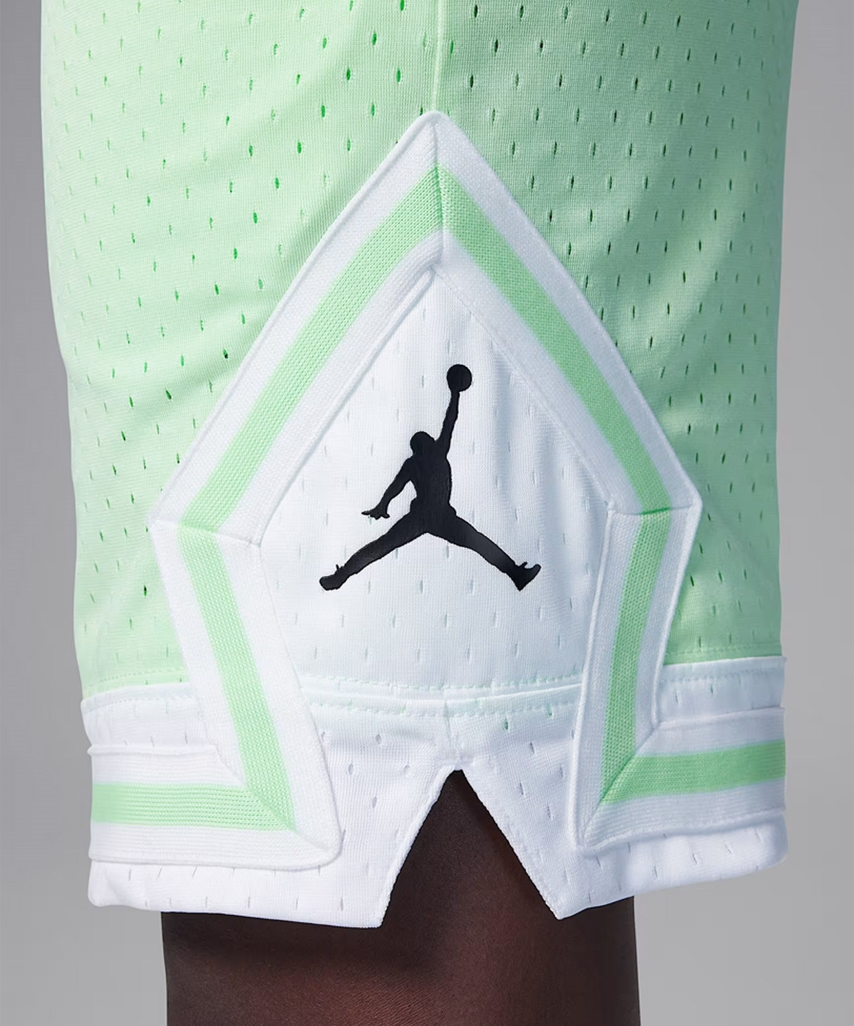 Шорти 95D313-E2E Jordan 95D313-E2E