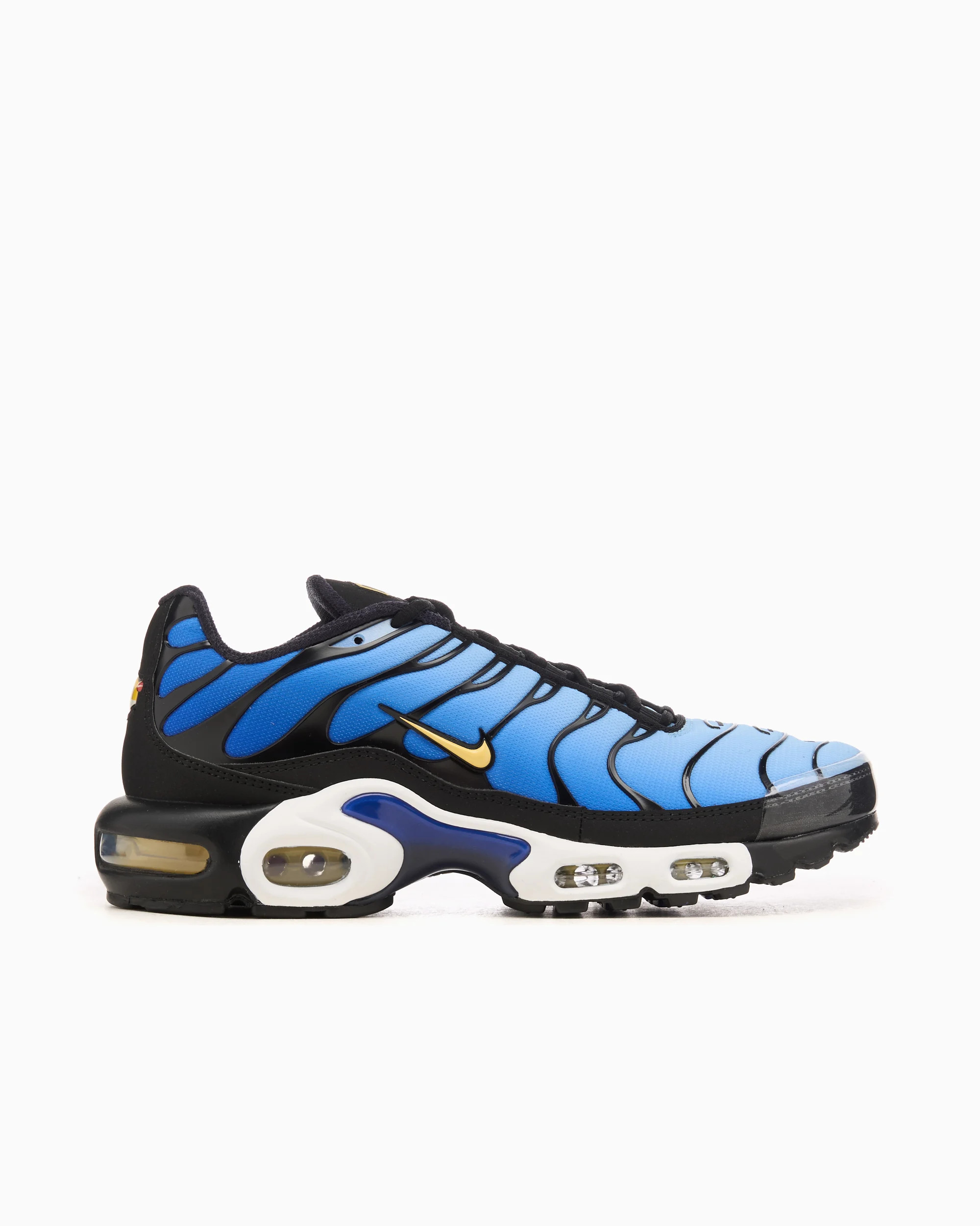 Кросівки NIKE AIR MAX PLUS OG DX0755-001
