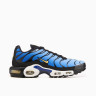 Кросівки Nike AIR MAX PLUS OG DX0755-001