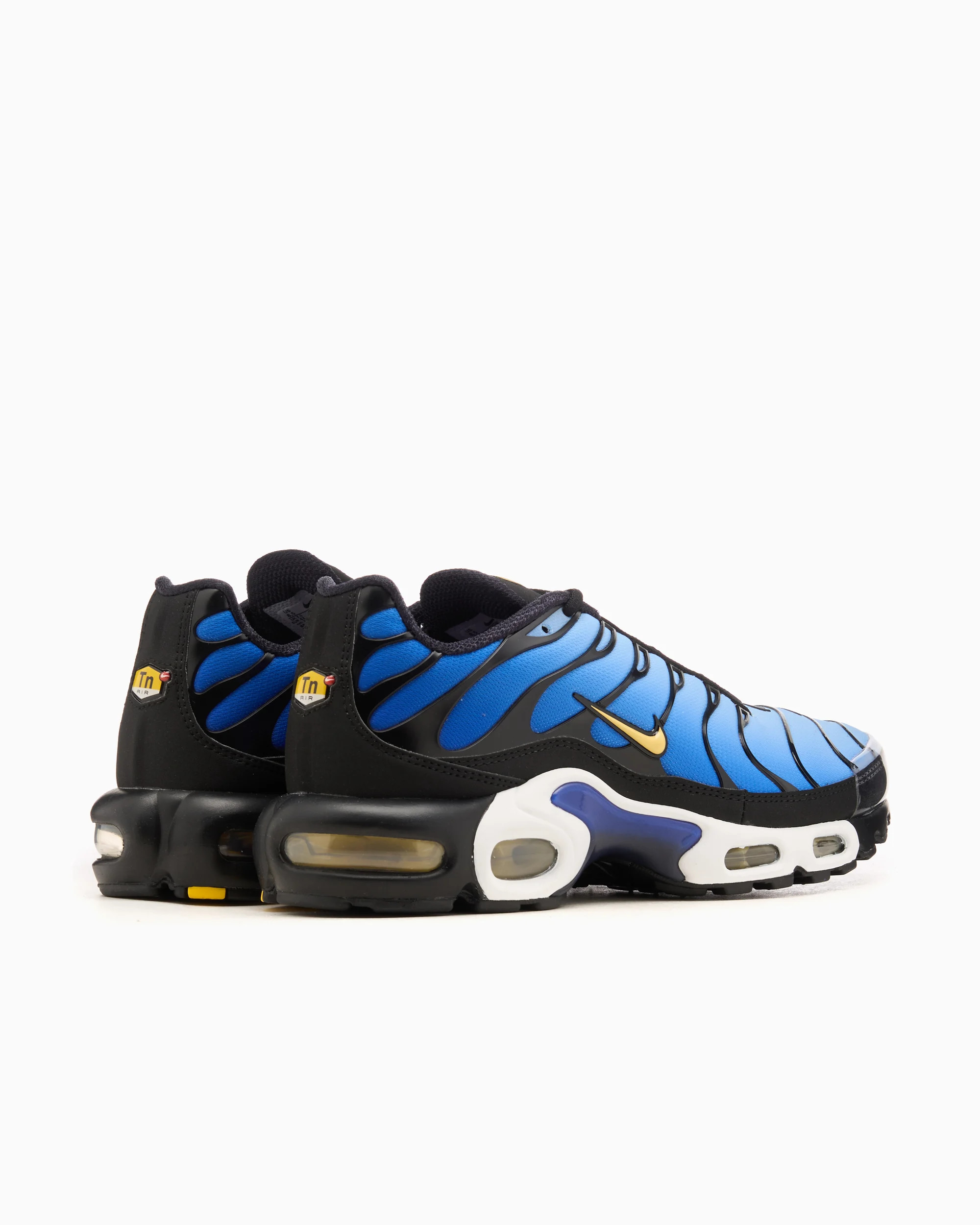 Кросівки NIKE AIR MAX PLUS OG DX0755-001