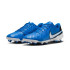 Бутси Nike LEGEND 10 CLUB FG/MG DV4344-400