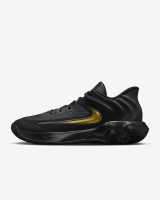 Кросівки Nike Giannis Immortality 4 FQ3680-010