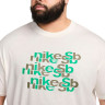 Футболка чоловіча Nike Sb Tee Oc Repeat Brd Beige FV3494-133 FV3494-133