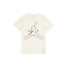 Футболка Jordan Essentials Stencil Graphic T-Shirt DV8420-133