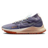 Кросівки Nike React Pegasus Trail 4 Gore-Tex DJ7929-502