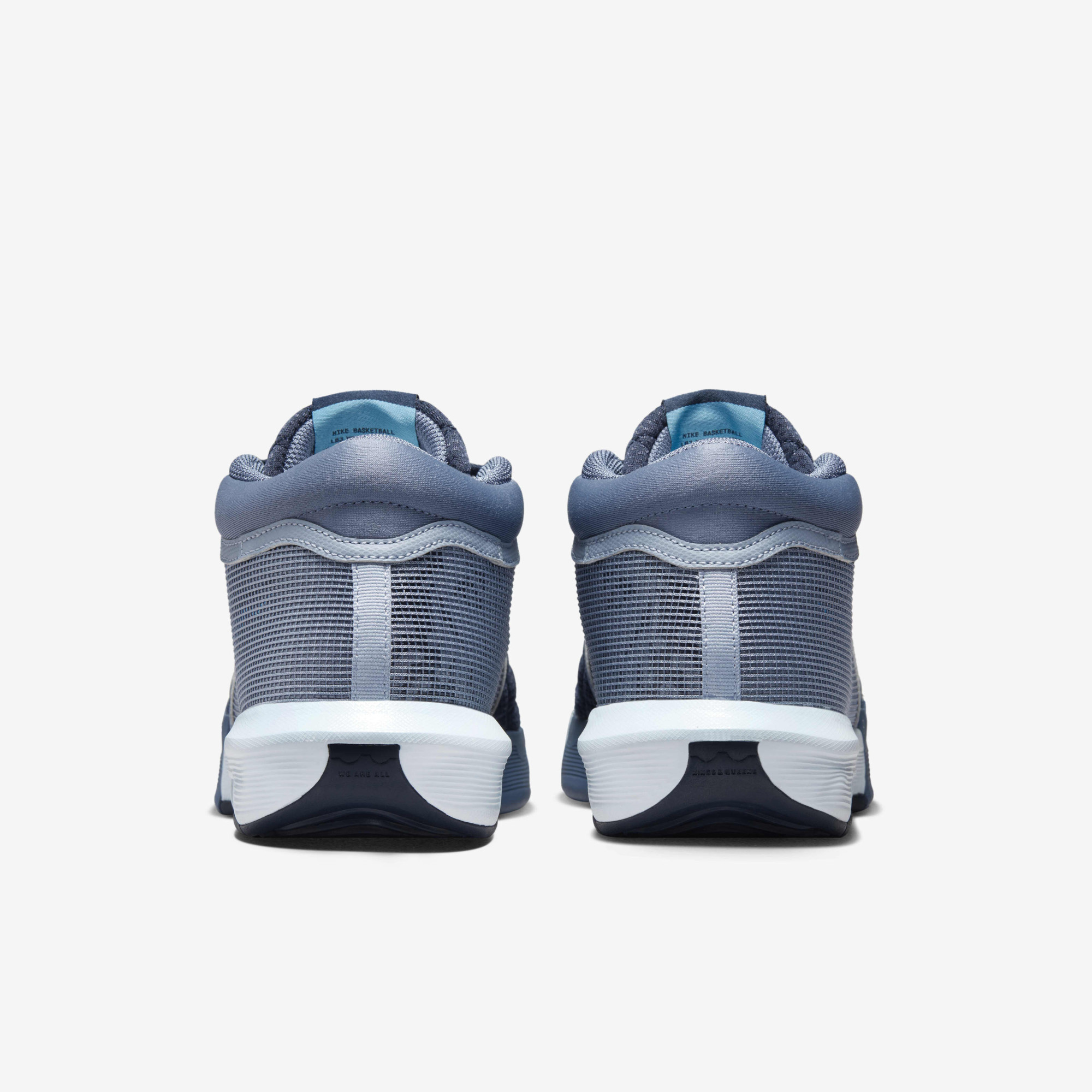 Кросівки Nike Lebron Witness 8 FB2239-400