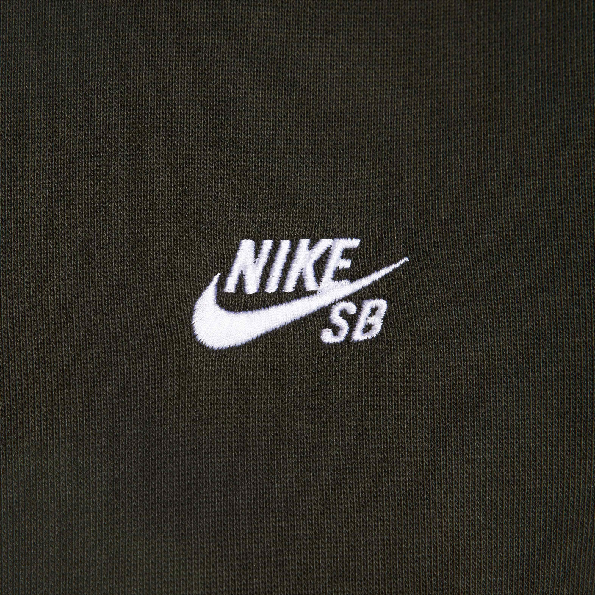 Худі Nike SB FLC PO HD ESSNTL LOGO FV7351-355