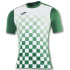 Футболка зелено-біла Joma FLAG 100682.452 100682.452