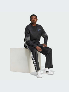 Штани Adidas BAGGY TP IZ4801