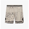 Шорти Jordan X Travis Scott Paisley Shorts Orewood DO4099-104