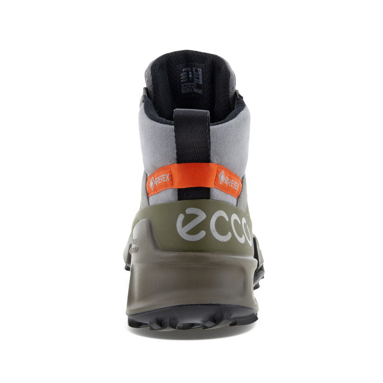 Черевики Ecco Biom 2.1 Mountain 823804-60441
