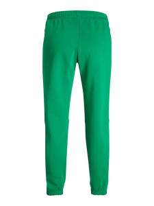 Штани JXALBERTE REL EVERY PANTS NOOS 12200298-Jolly Green JJXX L Зелений 12200298-JOLLY GREEN