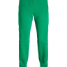 Штани JXALBERTE REL EVERY PANTS NOOS 12200298-Jolly Green JJXX L Зелений 12200298-JOLLY GREEN