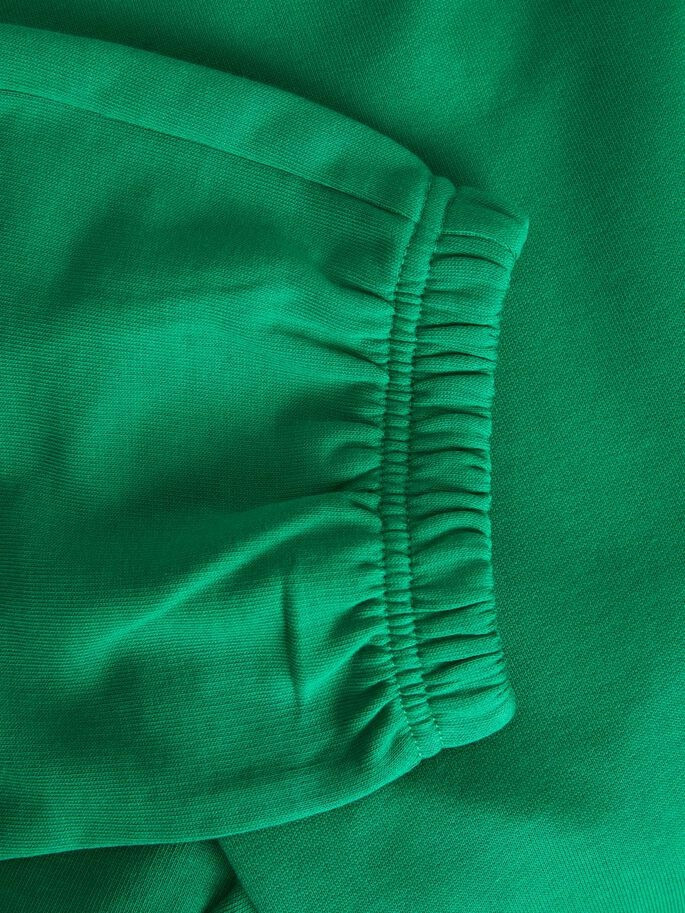 Штани JXALBERTE REL EVERY PANTS NOOS 12200298-Jolly Green JJXX L Зелений 12200298-Jolly Green