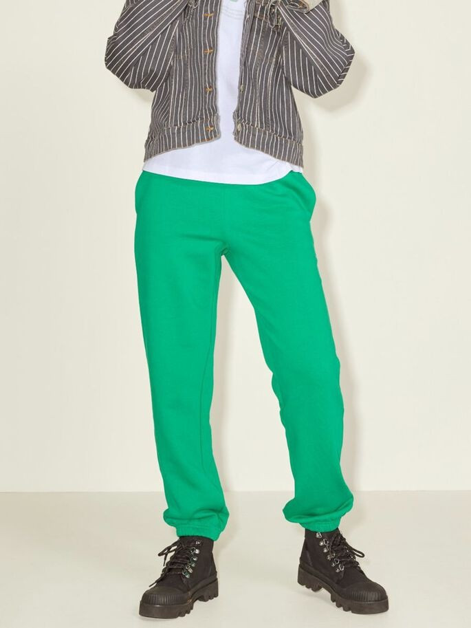 Штани JXALBERTE REL EVERY PANTS NOOS 12200298-Jolly Green JJXX L Зелений 12200298-Jolly Green