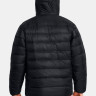 Куртка LEGEND DOWN HOODED JACKET 1385837-001 Under Armour L Чорний 1385837-001