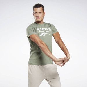 Футболка Reebok RI Big Logo Tee GI8513