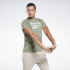 Футболка Reebok RI Big Logo Tee GI8513