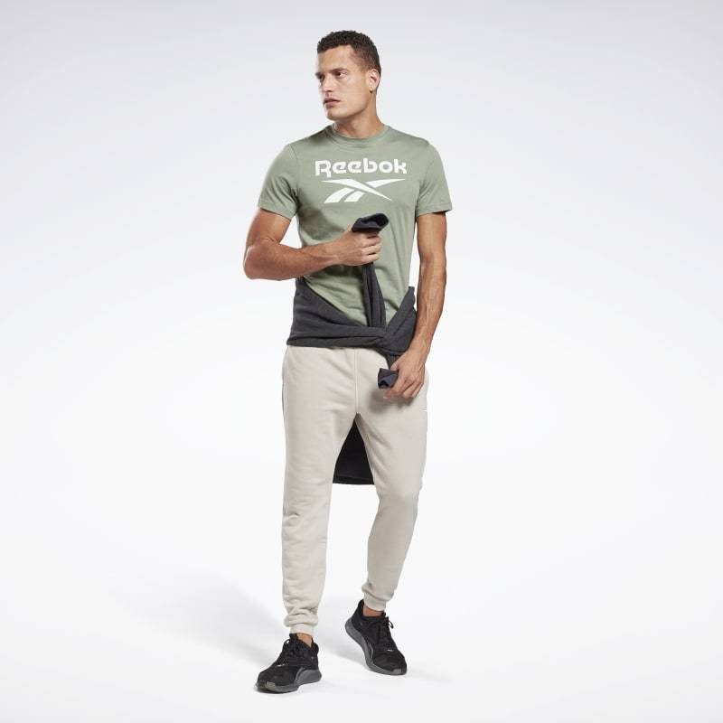 Футболка Reebok RI Big Logo Tee GI8513