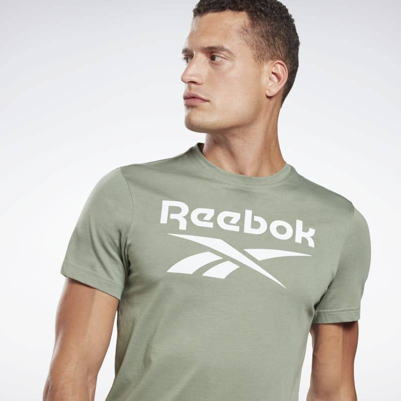 Футболка Reebok RI Big Logo Tee GI8513