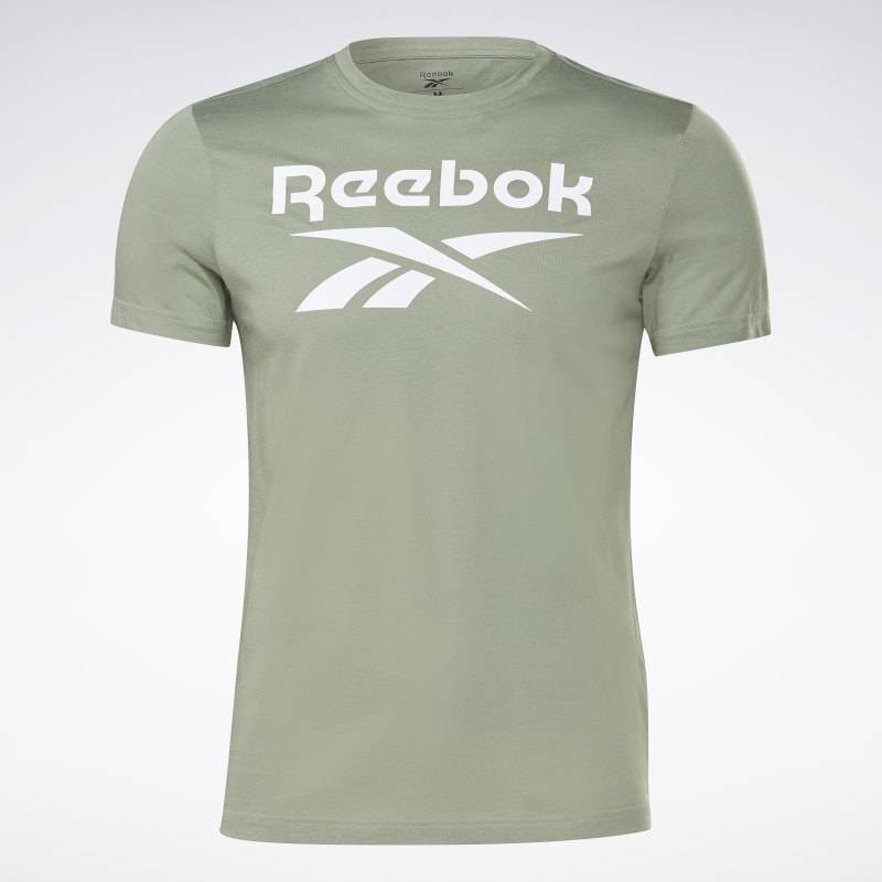 Футболка Reebok RI Big Logo Tee GI8513