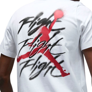 Футболка JORDAN MBRAND GFX SS CREW2 FB7465-100