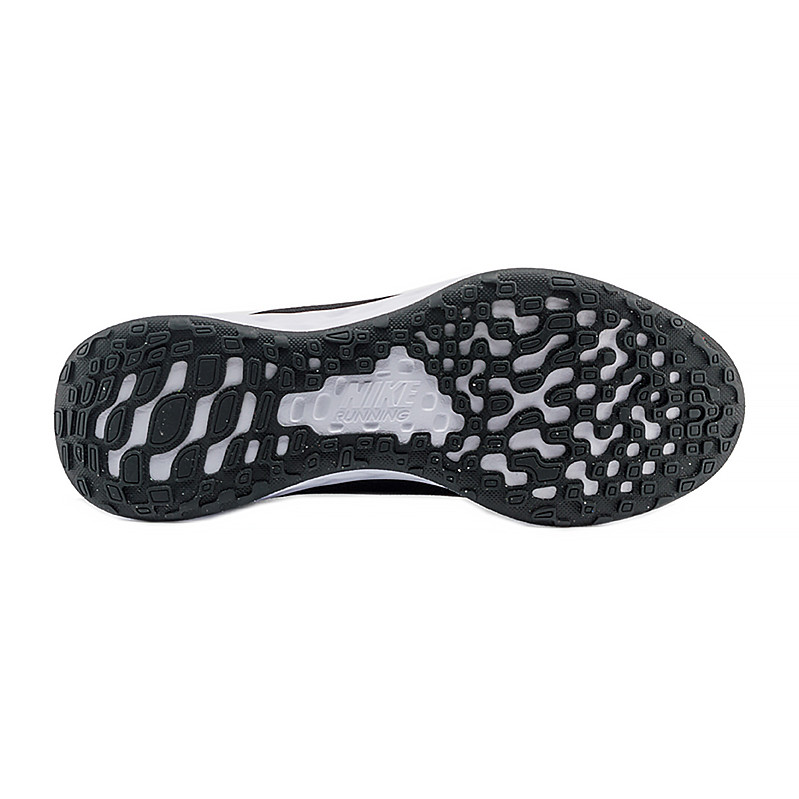 Кросівки бігові Nike W REVOLUTION 6 FLYEASE NN WD DC8998-003