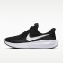 Кросівки Nike W REVOLUTION 8 EASYON HQ2415-001 Кросівки Nike W REVOLUTION 8 EASYON HQ2415-001