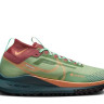 Кросівки Nike Pegasus Trail 4 GTX DJ7929-300