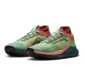 Кросівки Nike Pegasus Trail 4 GTX DJ7929-300