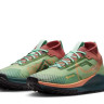 Кросівки Nike Pegasus Trail 4 GTX DJ7929-300