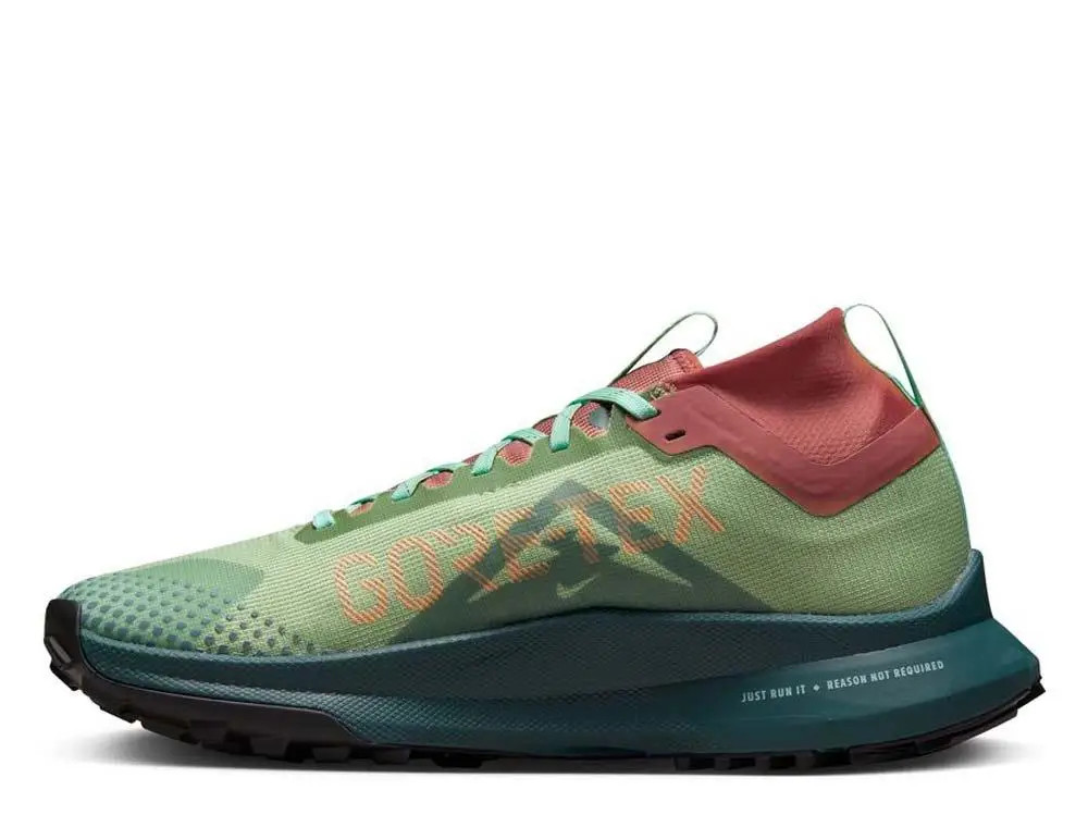 Кросівки Nike Pegasus Trail 4 GTX DJ7929-300