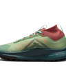Кросівки Nike Pegasus Trail 4 GTX DJ7929-300