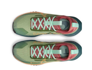 Кросівки Nike Pegasus Trail 4 GTX DJ7929-300