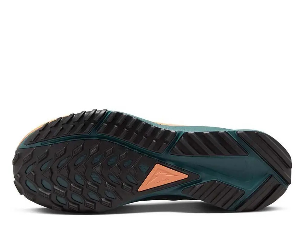 Кросівки Nike Pegasus Trail 4 GTX DJ7929-300