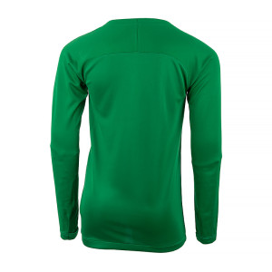 Термокофта Nike Y NK DF PARK 1STLYR JSY LS AV2611-302