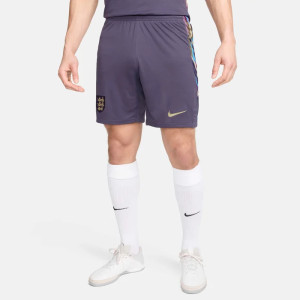 Шорти Nike Dri-FIT Football Replica Shorts FJ4292-573