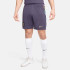 Шорти Nike Dri-FIT Football Replica Shorts FJ4292-573