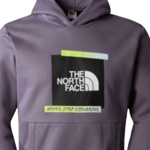 Толстовка The North Face ES GRAPHIC HOODI NF0A83FKN141