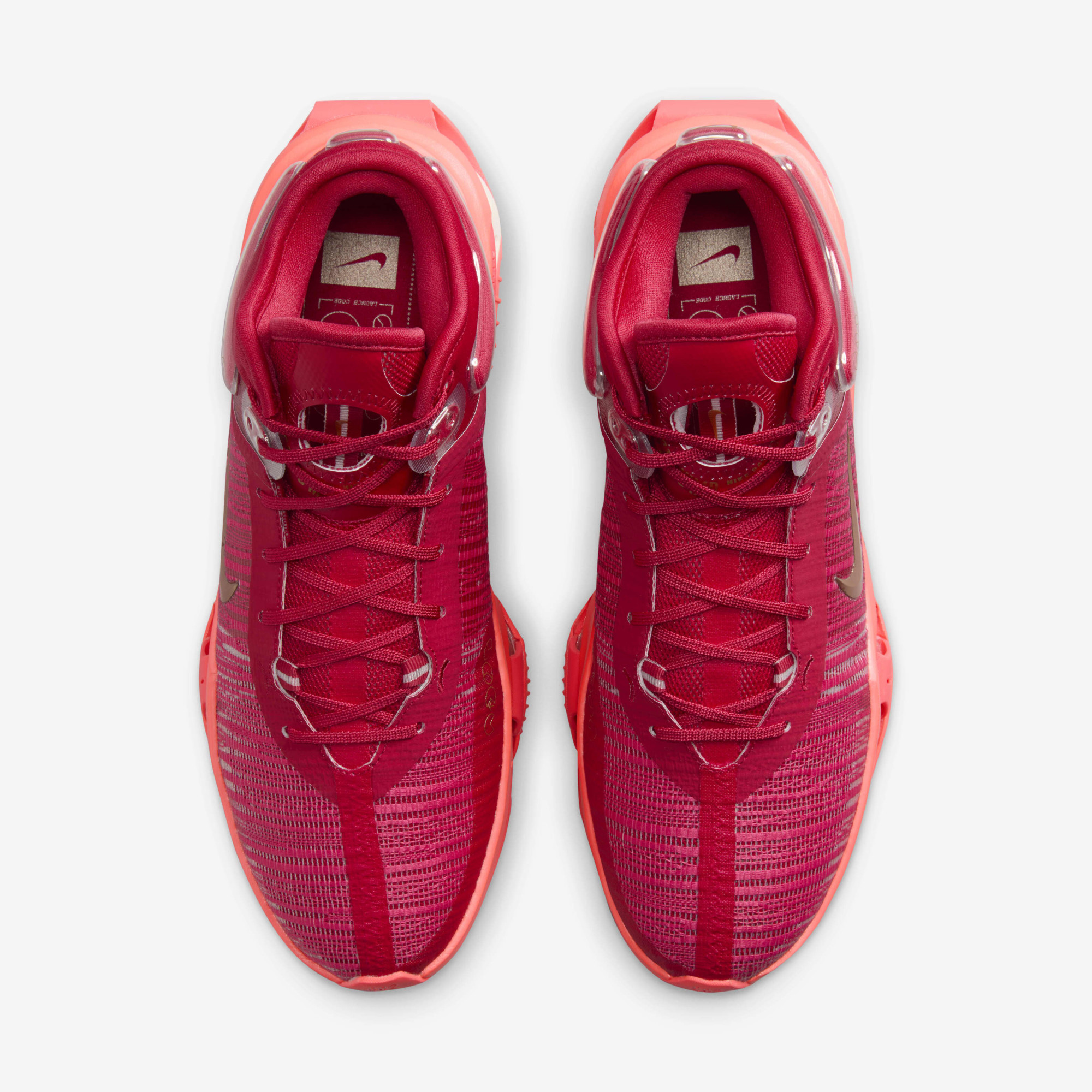 Кросівки Nike Air Zoom GT Jump 2 DJ9431-602