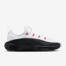 Кросівки Nike LeBron TR 1 FJ6151-101
