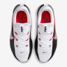 Кросівки Nike LeBron TR 1 FJ6151-101