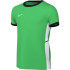 Футболка Nike Dri-FIT Academy 25 FZ9758-329, Цвет Зелёный, Размер (Европа) - 122cm FZ9758-329
