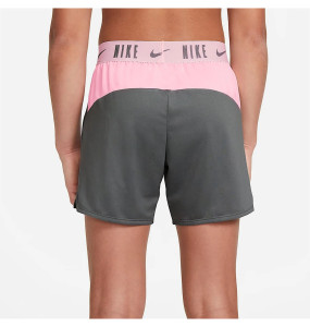 Шорти Nike G NK DRY TROPHY 6IN SHORT DA1099-086