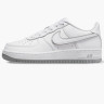 Кросівки Nike AIR FORCE 1 (GS) DX5805-100