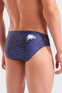 Плавки Arena SNAKESKIN SWIM BRIEFS 010162-700