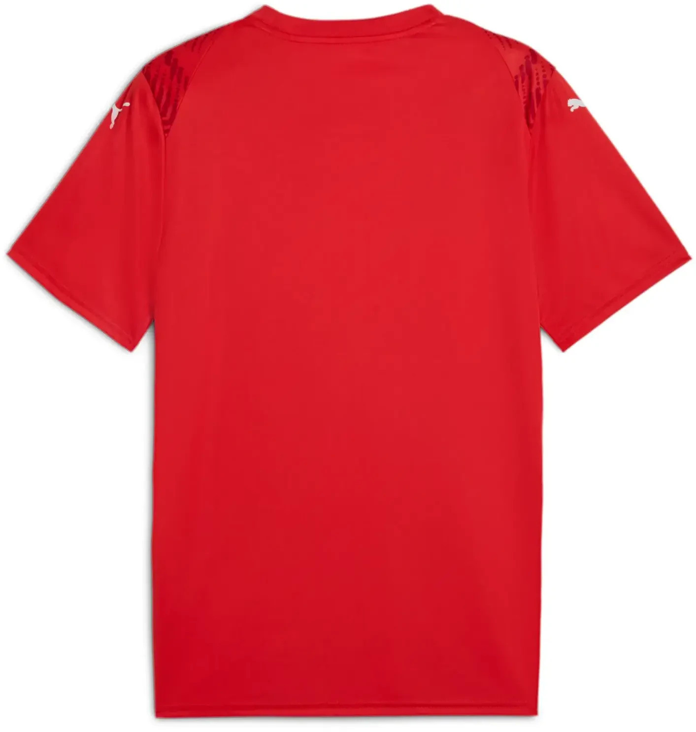Футболка Puma teamULTIMATE Jersey 706280-01