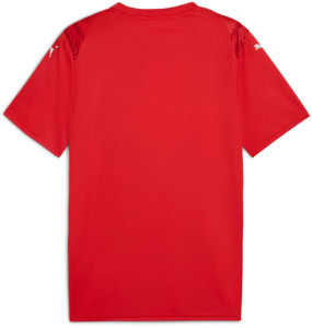 Футболка Puma teamULTIMATE Jersey 706280-01