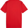 Футболка Puma teamULTIMATE Jersey 706280-01