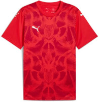 Футболка Puma teamULTIMATE Jersey 706280-01